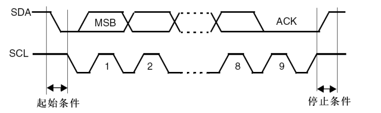 image-20260222174749184